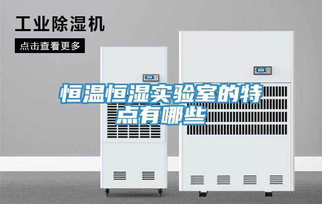 恒温恒湿实验室的特点有哪些