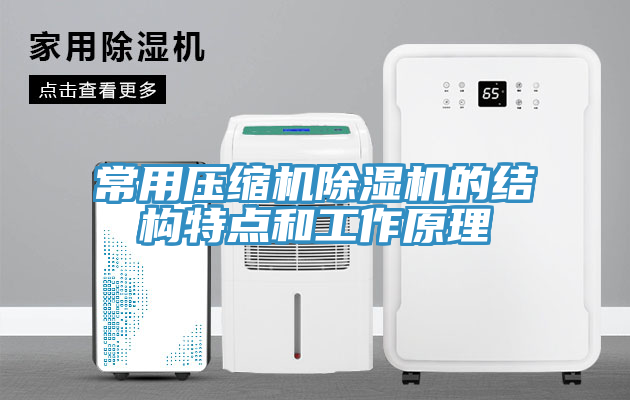 常用压缩机除湿机的结构特点和工作原理