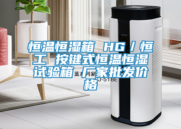 恒温恒湿箱 HG／恒工 按键式恒温恒湿试验箱 厂家批发价格