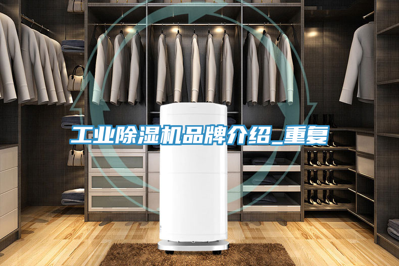 工业除湿机品牌介绍_重复