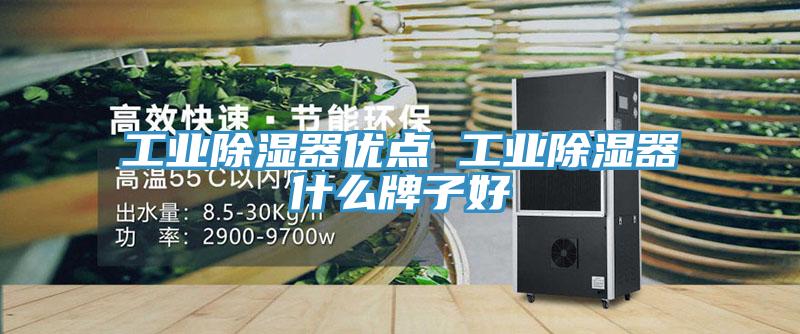 工业除湿器优点 工业除湿器什么牌子好