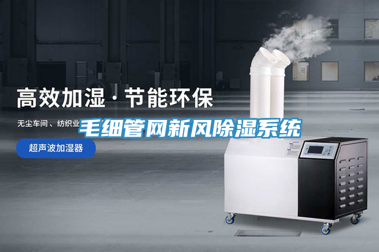 毛细管网新风除湿系统