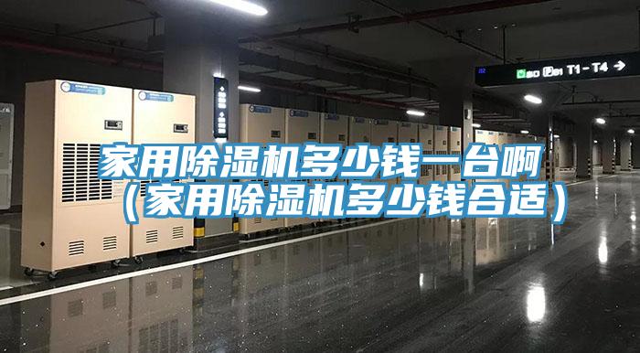 家用除湿机多少钱一台啊（家用除湿机多少钱合适）