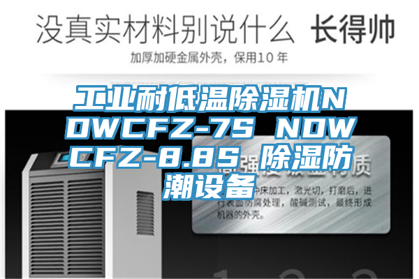 工业耐低温除湿机NDWCFZ-7S NDWCFZ-8.8S 除湿防潮设备