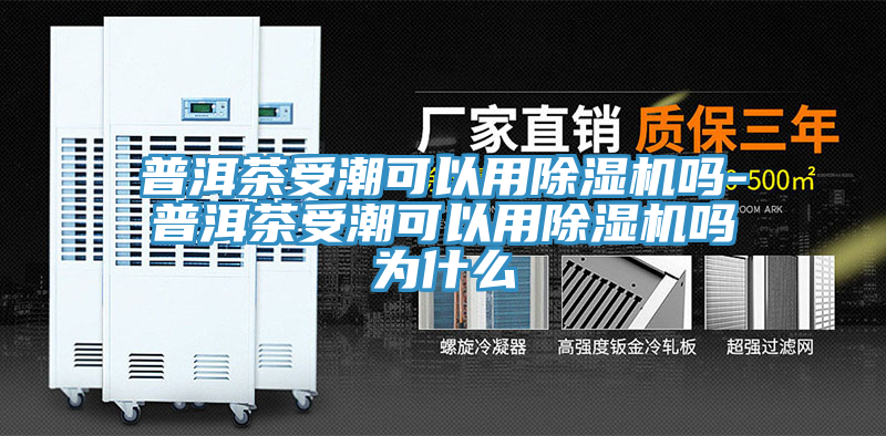 普洱茶受潮可以用除湿机吗-普洱茶受潮可以用除湿机吗为什么