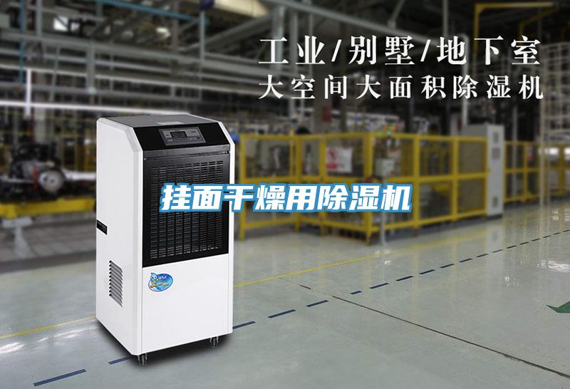 挂面干燥用除湿机