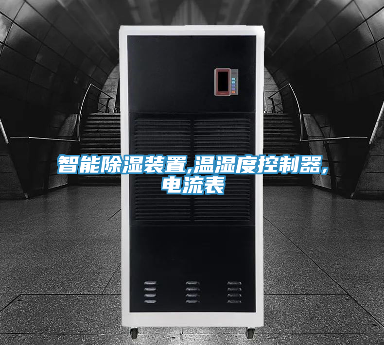 智能除湿装置,温湿度控制器,电流表
