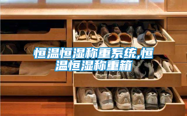 恒温恒湿称重系统,恒温恒湿称重箱