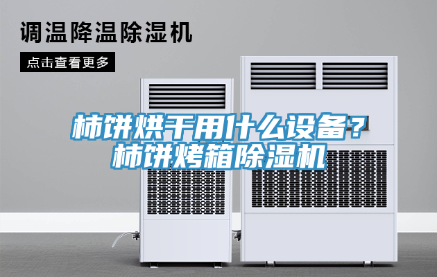 柿饼烘干用什么设备？柿饼烤箱除湿机