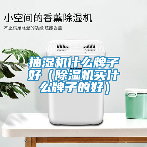 抽湿机什么牌子好（除湿机买什么牌子的好）