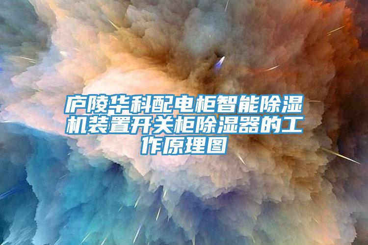 庐陵华科配电柜智能除湿机装置开关柜除湿器的工作原理图