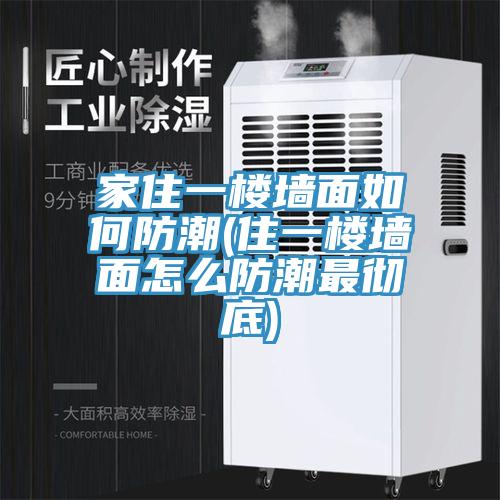 家住一楼墙面如何防潮(住一楼墙面怎么防潮最彻底)