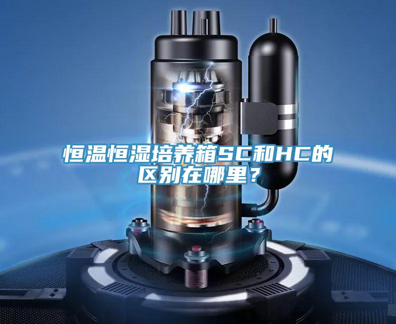 恒温恒湿培养箱SC和HC的区别在哪里？