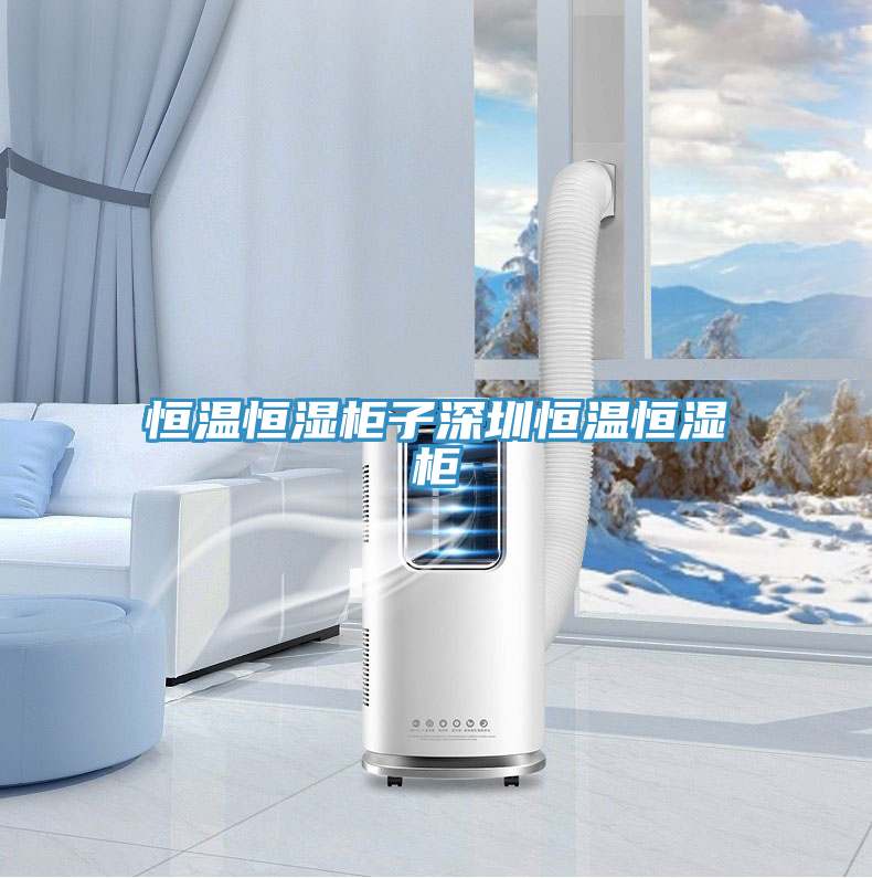恒温恒湿柜子深圳恒温恒湿柜