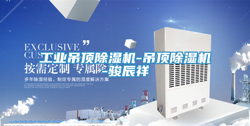 工业吊顶除湿机-吊顶除湿机-骏辰祥