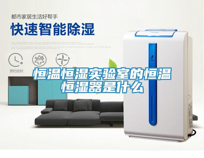 恒温恒湿实验室的恒温恒湿器是什么