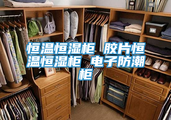 恒温恒湿柜 胶片恒温恒湿柜 电子防潮柜