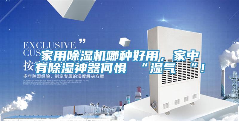 家用除湿机哪种好用，家中有除湿神器何惧 “湿气 “！