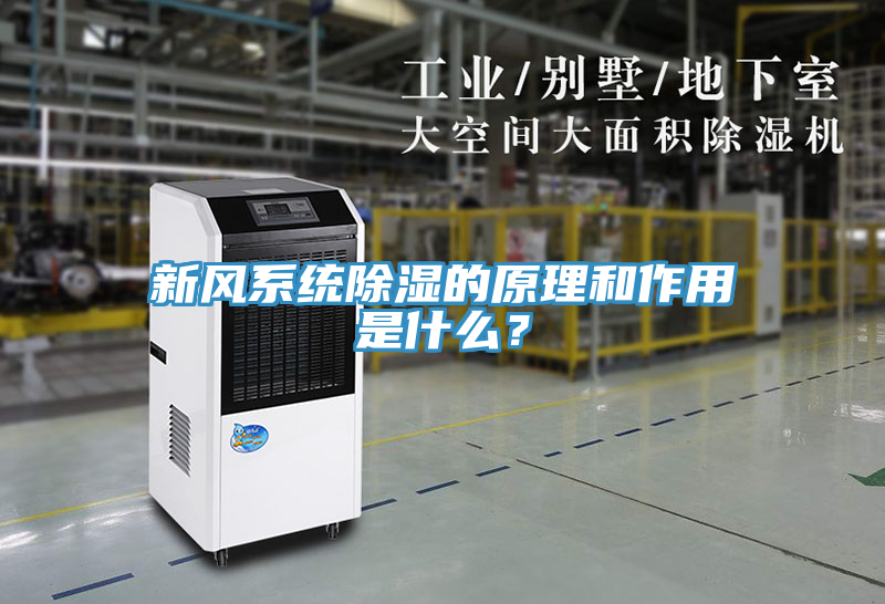 新风系统除湿的原理和作用是什么？