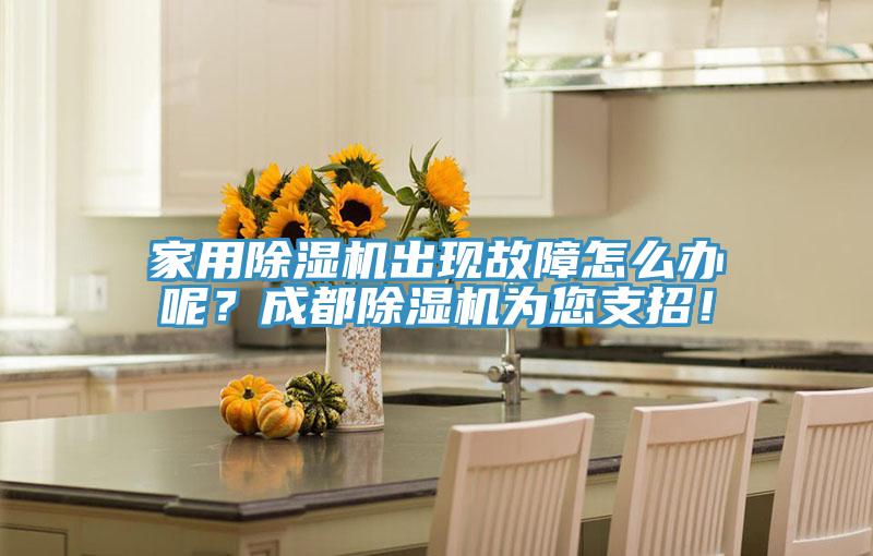 家用除湿机出现故障怎么办呢？成都除湿机为您支招！