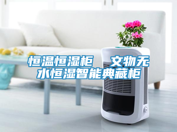恒温恒湿柜  文物无水恒湿智能典藏柜