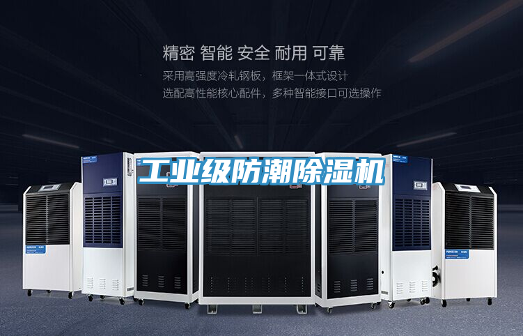 工业级防潮除湿机