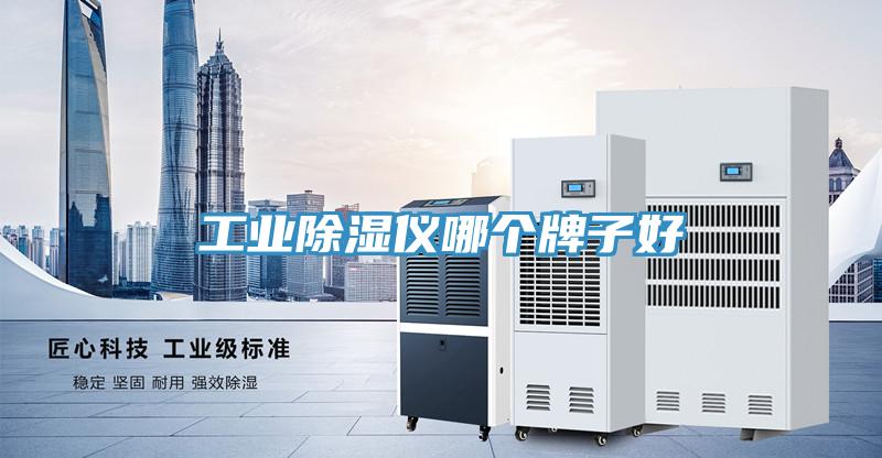 工业除湿仪哪个牌子好