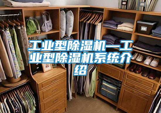 工业型除湿机—工业型除湿机系统介绍
