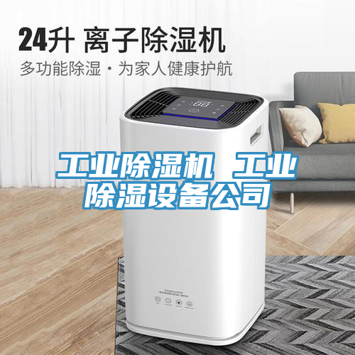 工业除湿机 工业除湿设备公司