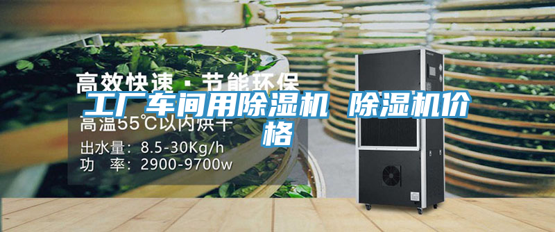 工厂车间用除湿机 除湿机价格