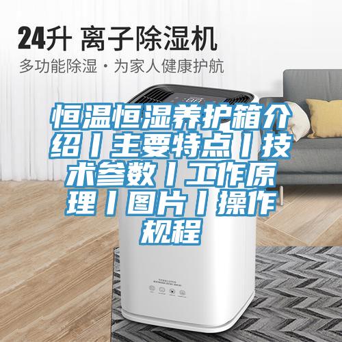 恒温恒湿养护箱介绍丨主要特点丨技术参数丨工作原理丨图片丨操作规程
