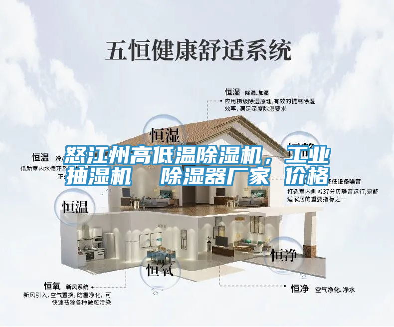 怒江州高低温除湿机，工业抽湿机  除湿器厂家 价格