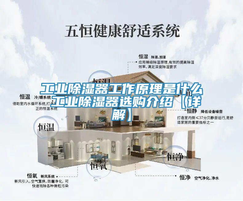 工业除湿器工作原理是什么 工业除湿器选购介绍【详解】