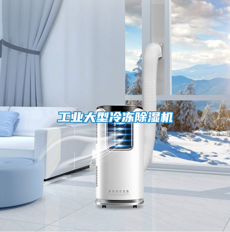 工业大型冷冻除湿机