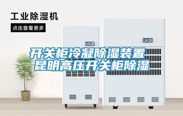 开关柜冷凝除湿装置 昆明高压开关柜除湿