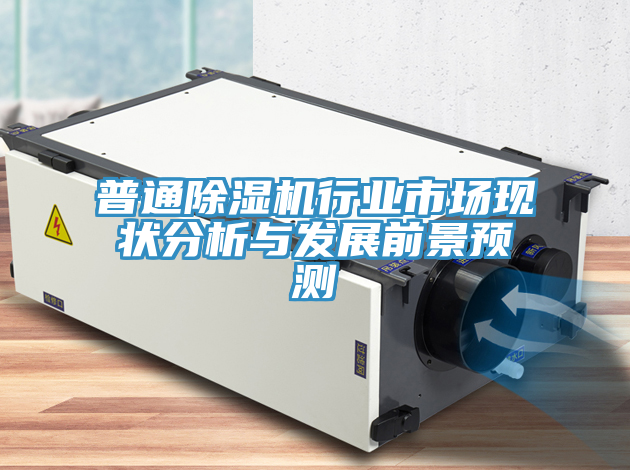普通除湿机行业市场现状分析与发展前景预测