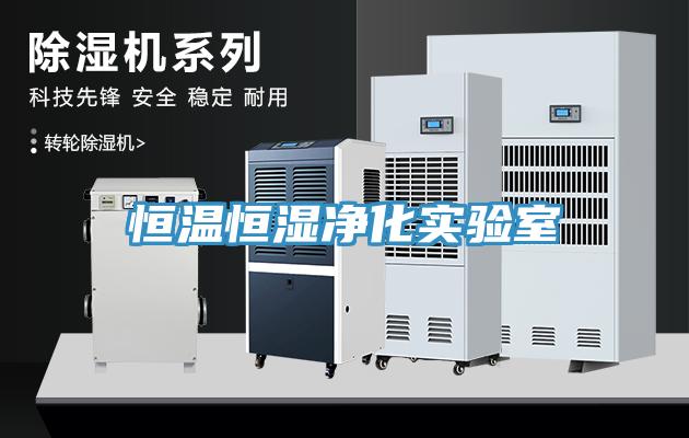 恒温恒湿净化实验室