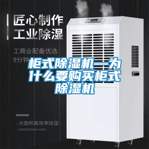 柜式除湿机—为什么要购买柜式除湿机