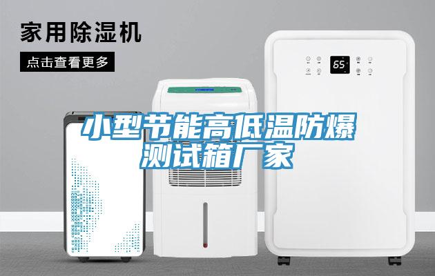 小型节能高低温防爆测试箱厂家