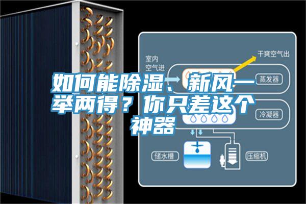 如何能除湿、新风一举两得？你只差这个神器