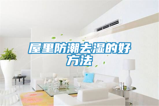 屋里防潮去湿的好方法