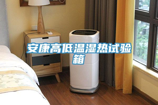 安康高低温湿热试验箱