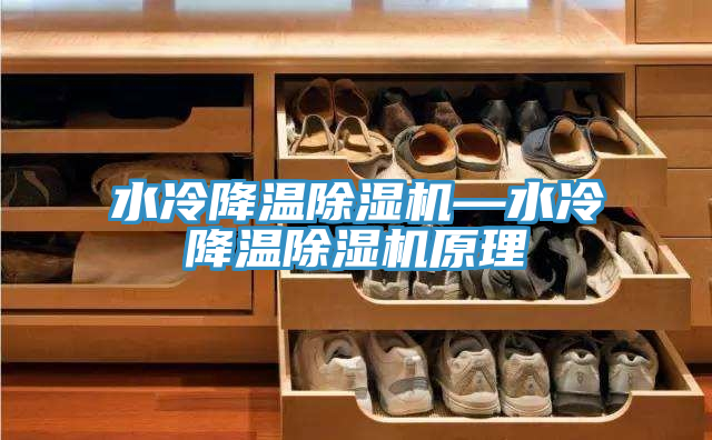 水冷降温除湿机—水冷降温除湿机原理