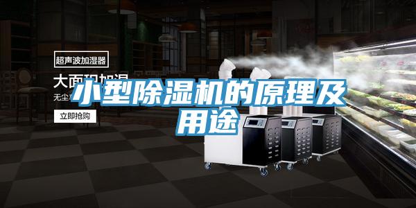 小型除湿机的原理及用途