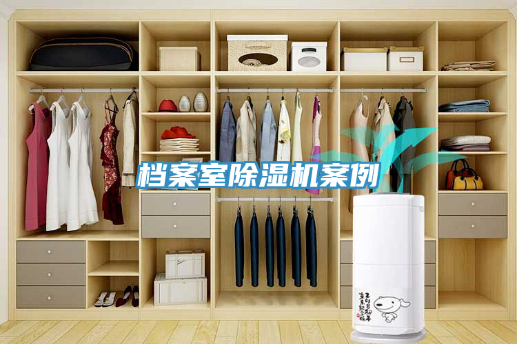 档案室除湿机案例