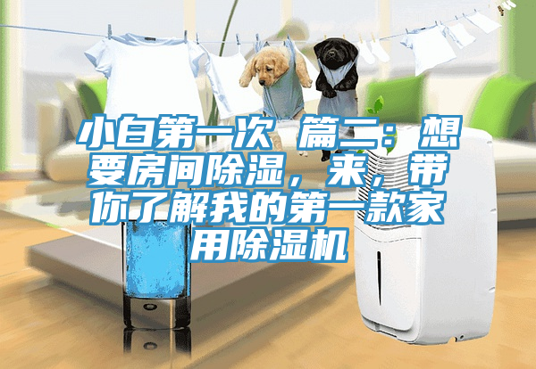 小白第一次 篇二：想要房间除湿，来，带你了解我的第一款家用除湿机