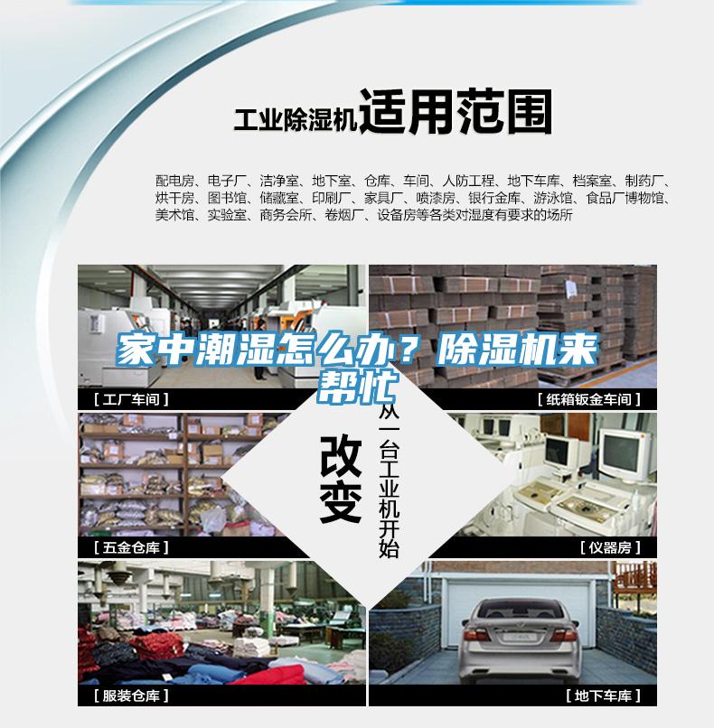 家中潮湿怎么办？除湿机来帮忙