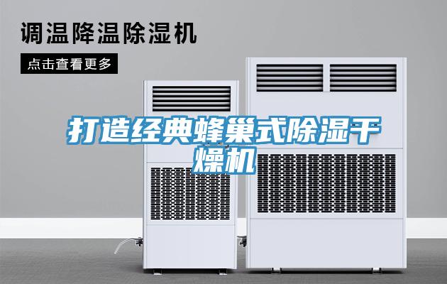 打造经典蜂巢式除湿干燥机