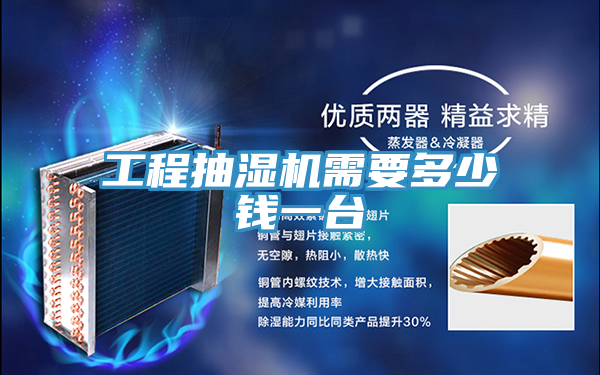 工程抽湿机需要多少钱一台