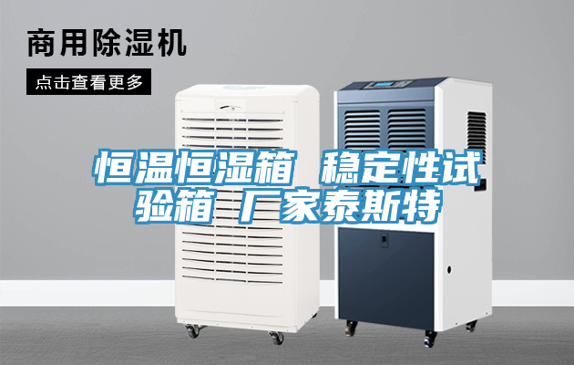 恒温恒湿箱 稳定性试验箱 厂家泰斯特
